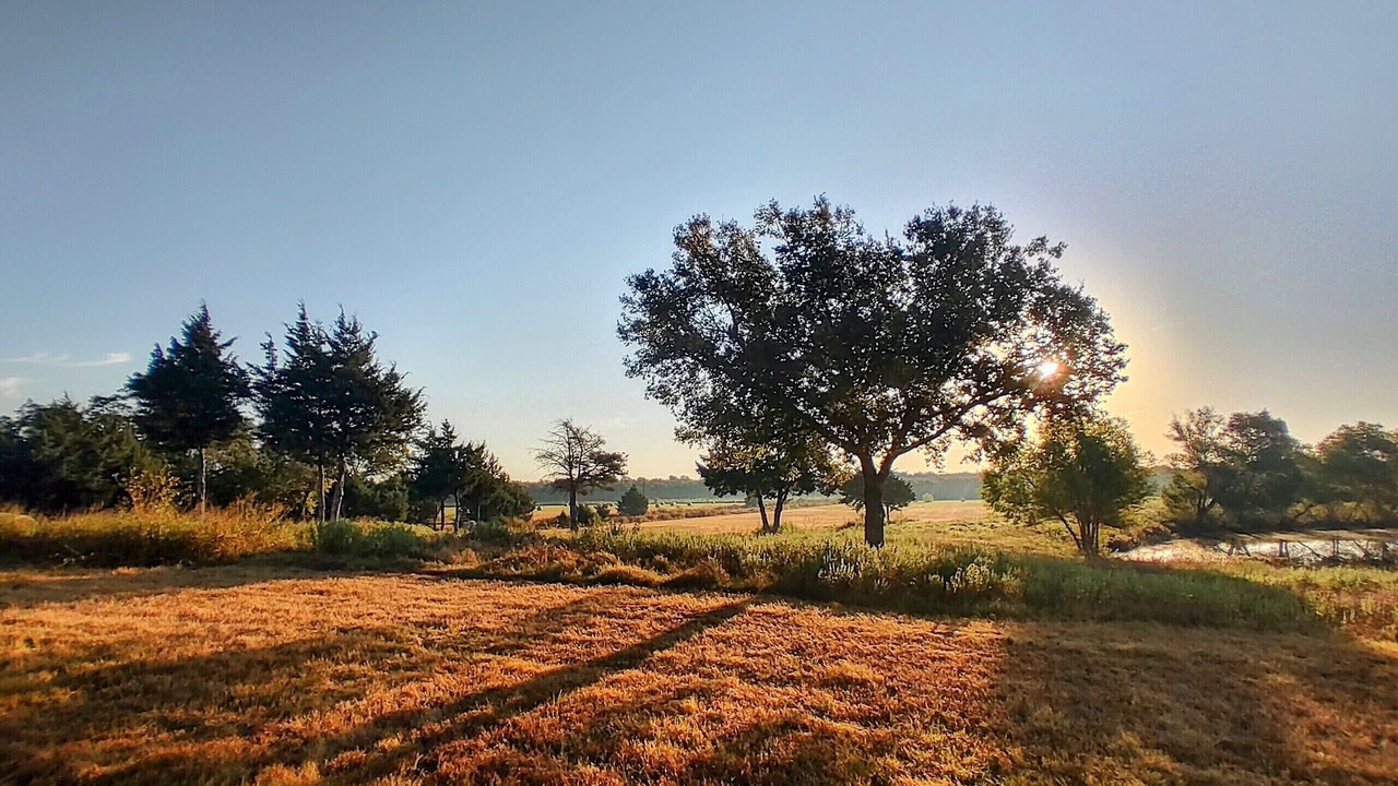 Photo of Outdoor in Commerce
