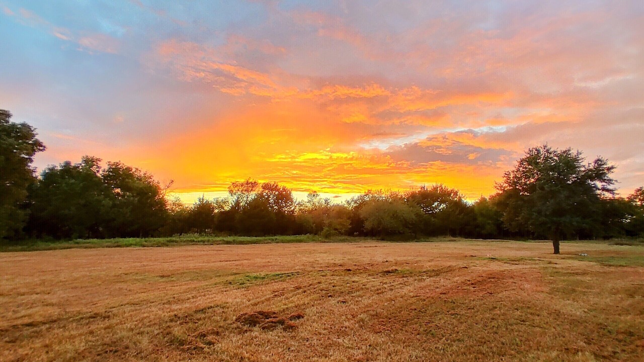 Photo of Outdoor in Commerce