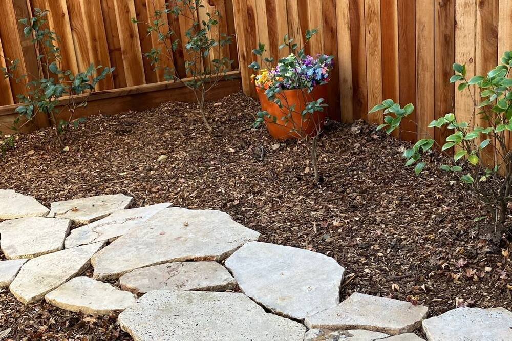 Photo of Others in St. Helena