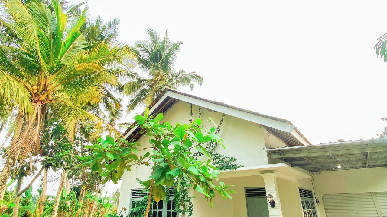Photo of Outdoor in Ngemplak