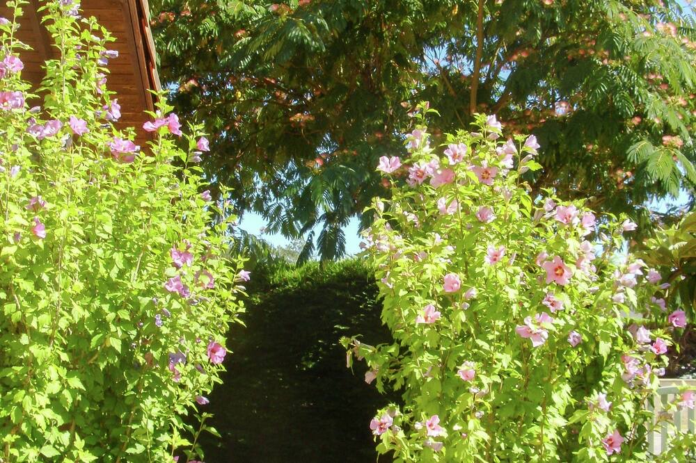 Photo of Outdoor in Sainte-Eulalie-en-Born