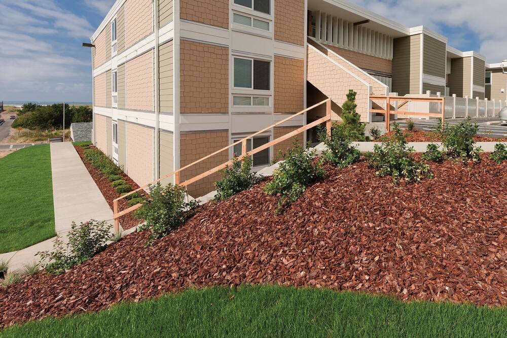 Photo of Outdoor in Ocean Park