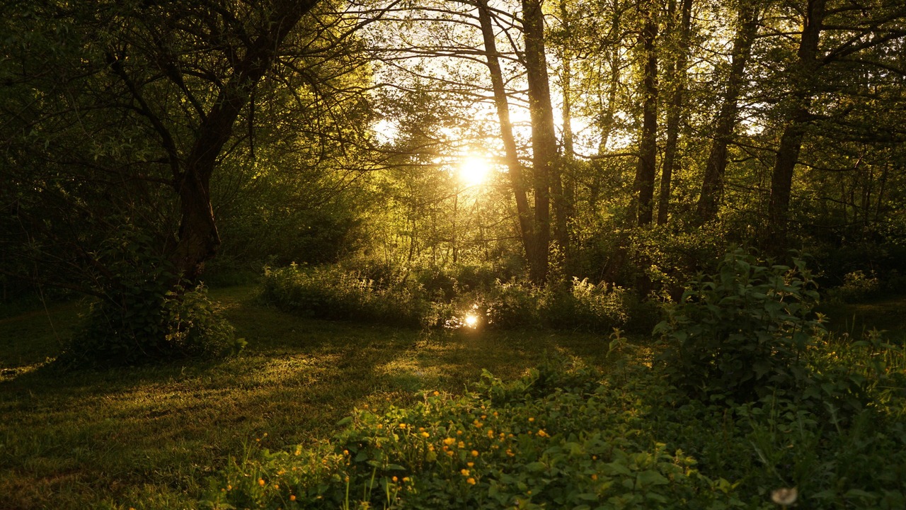 Photo of Outdoor in Rimont