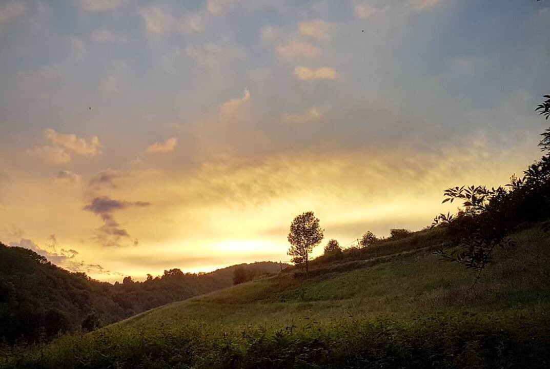 Photo of Others in Rimont