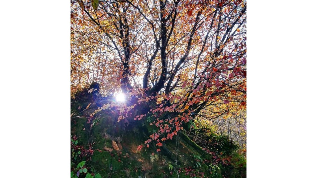 Photo of Outdoor in Rimont