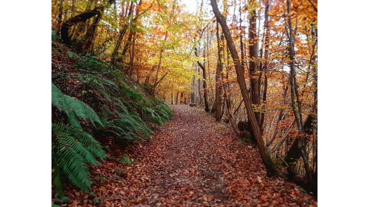 Photo of Outdoor in Rimont