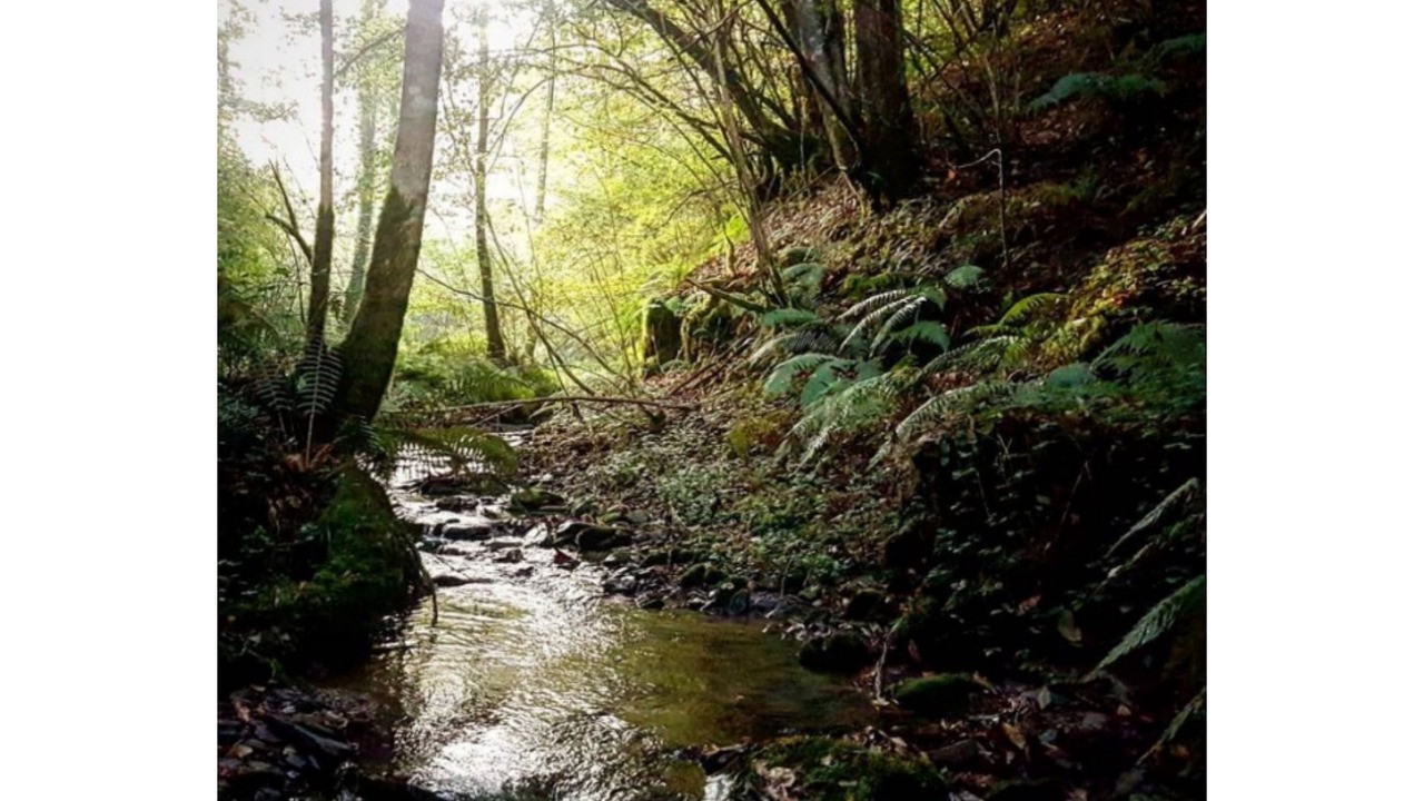 Photo of Outdoor in Rimont