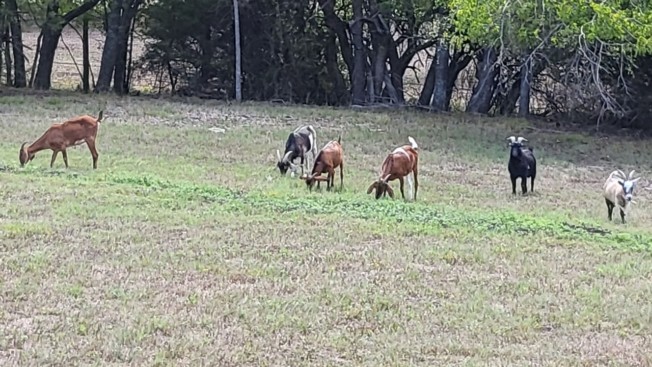 Photo of Outdoor in Greenville