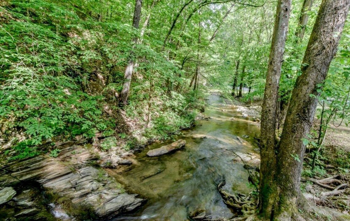 Photo of Outdoor in Townsend