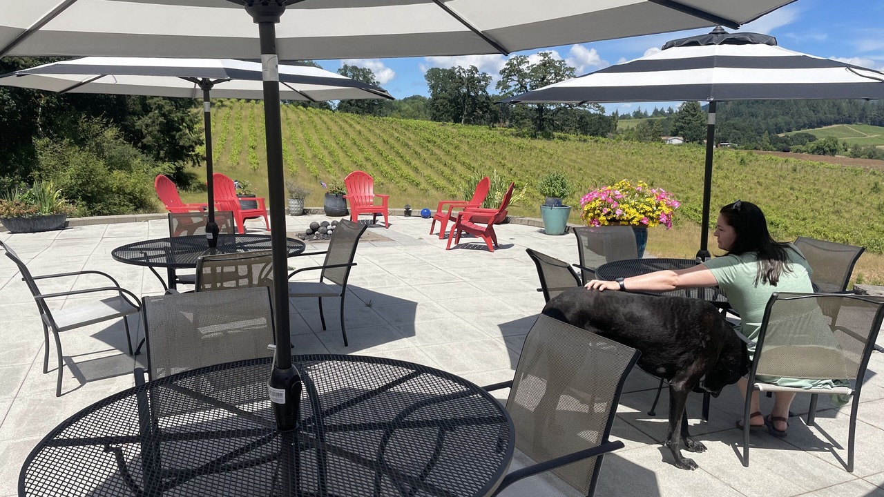 Photo of Patio Balcony in Carlton