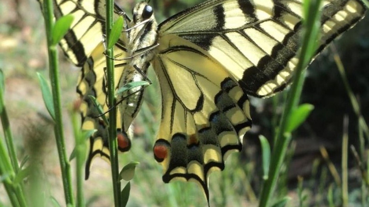 Photo of Outdoor in Hyds