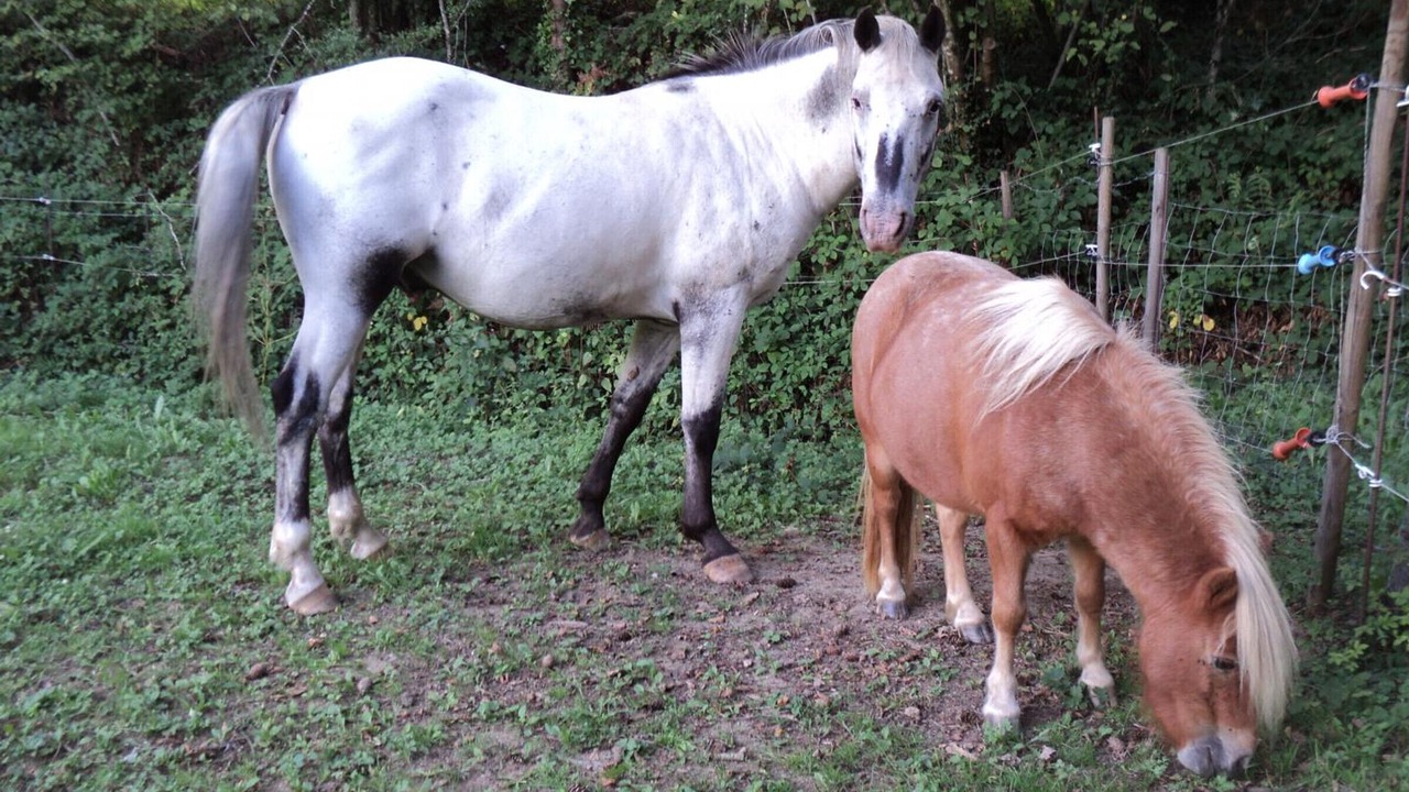 Photo of Outdoor in Hyds