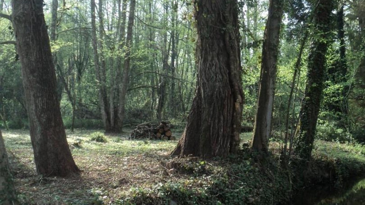 Photo of Outdoor in Hyds