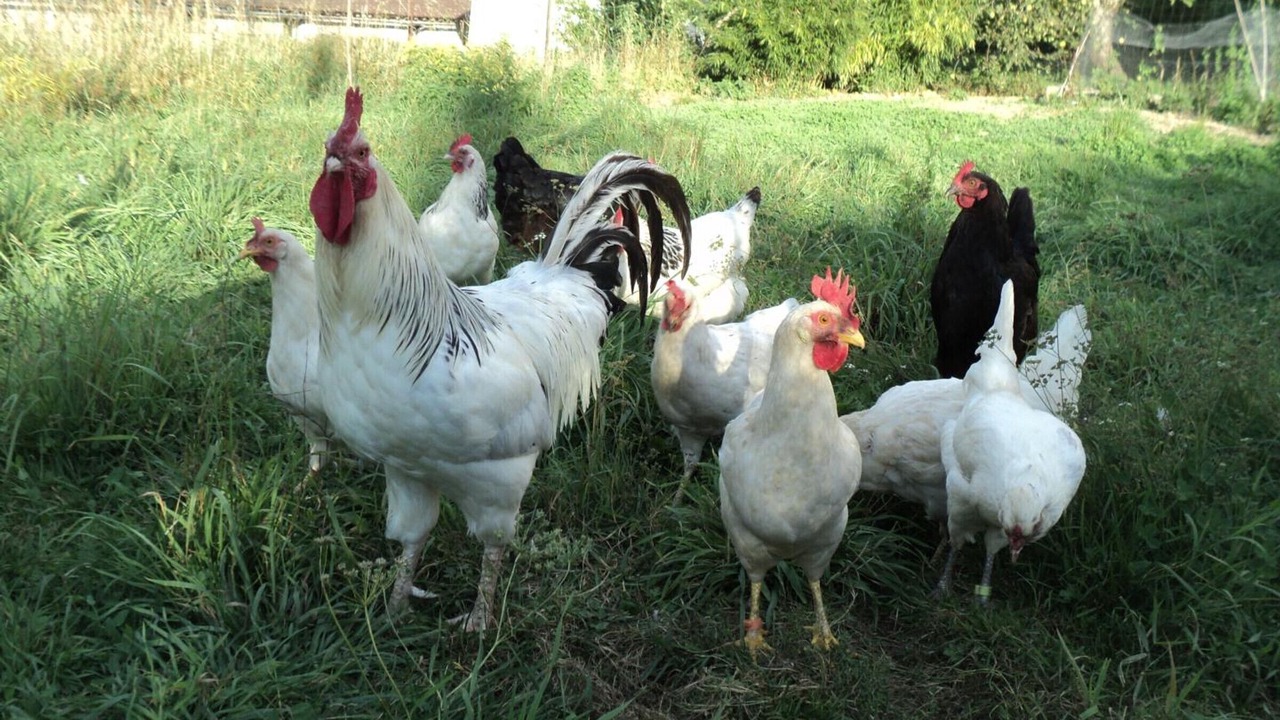 Photo of Outdoor in Hyds