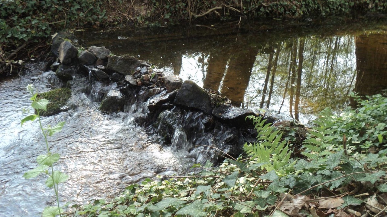 Photo of Outdoor in Hyds