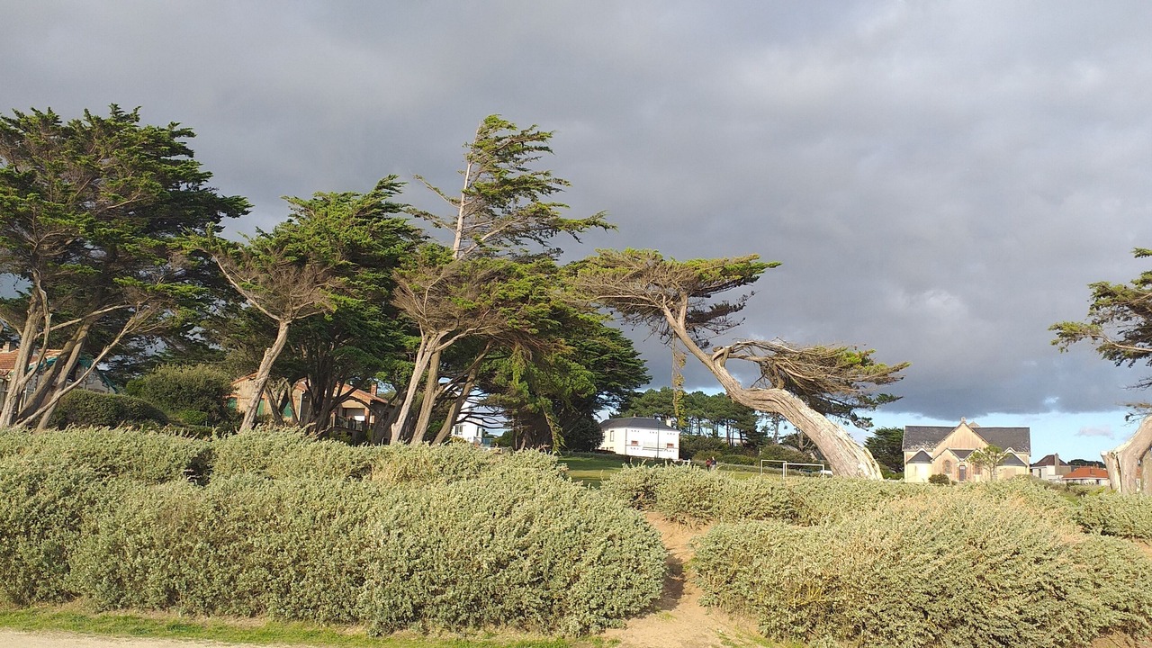 Photo of Outdoor in Prefailles