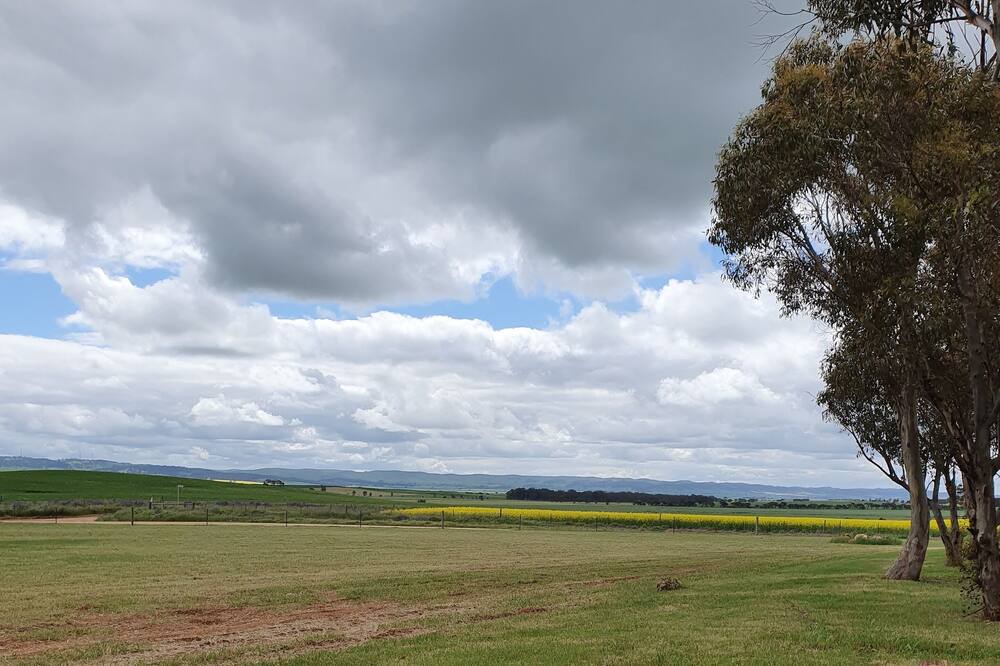 Photo of Others in Mannanarie