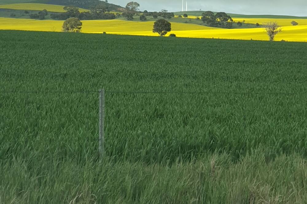 Photo of Others in Mannanarie