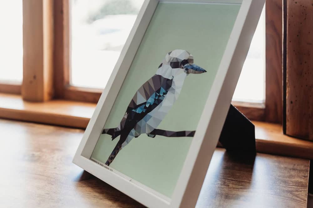 Photo of Others in New Plymouth