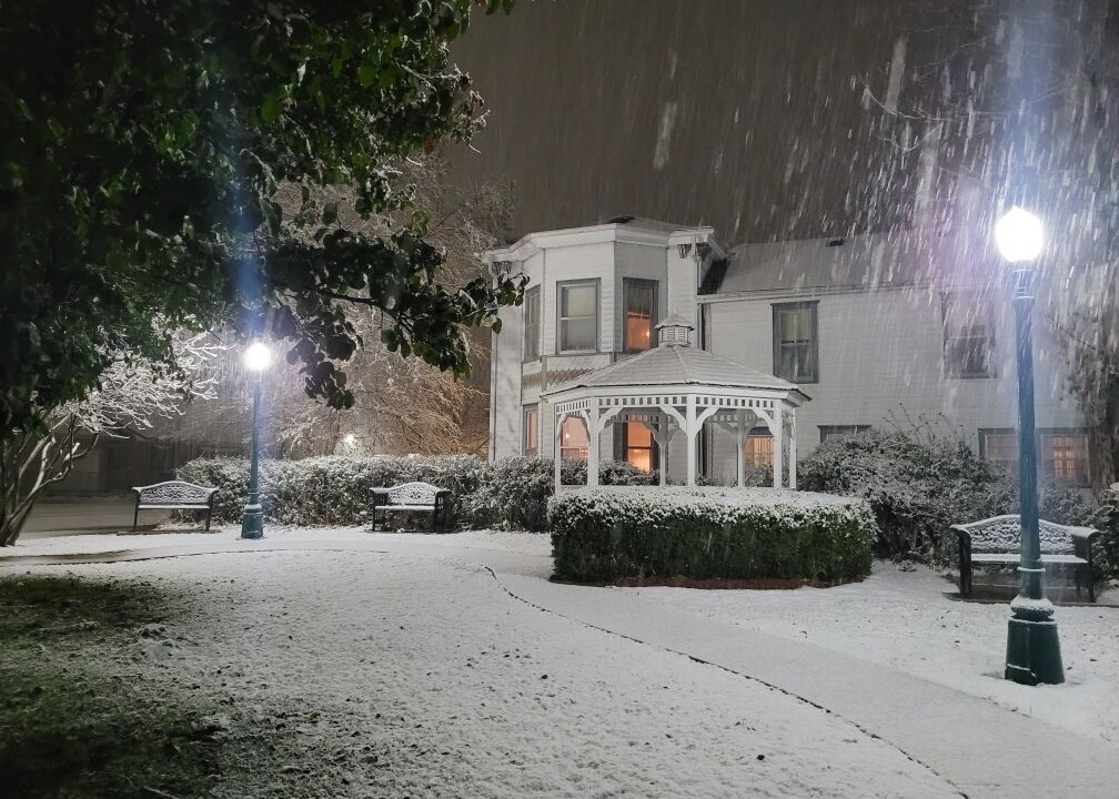 Photo of Outdoor in Versailles