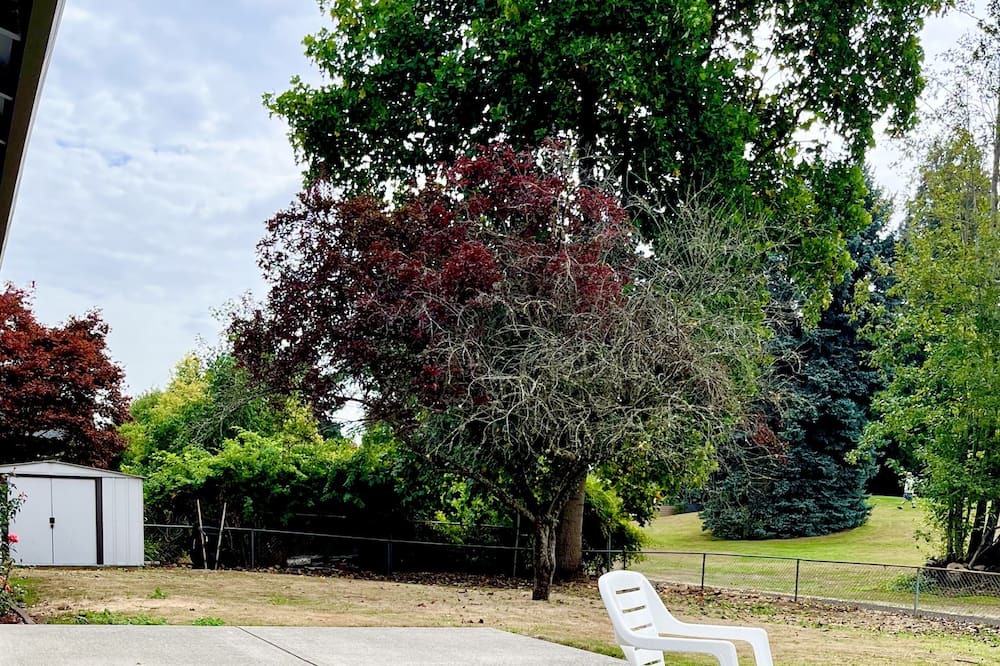 Photo of Others in Five Corners