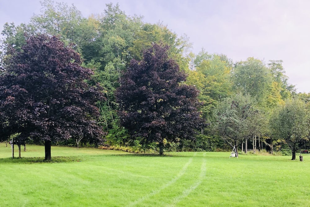 Photo of Outdoor in Westford