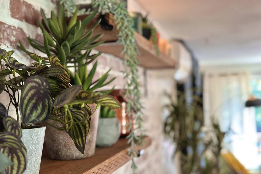 Photo of Others in South Delridge