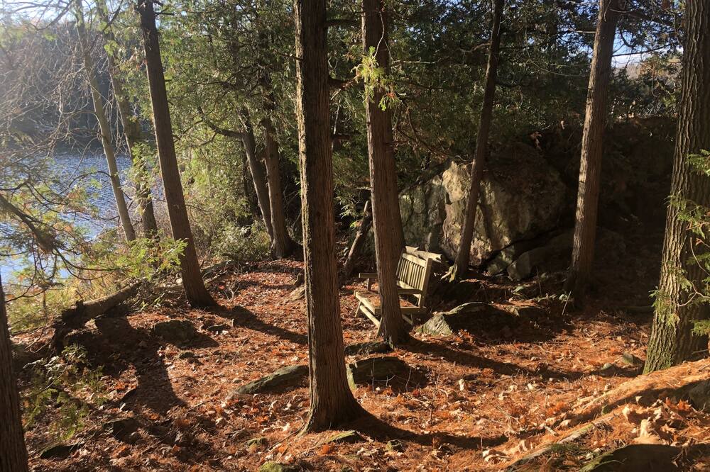 Photo of Others in Arden