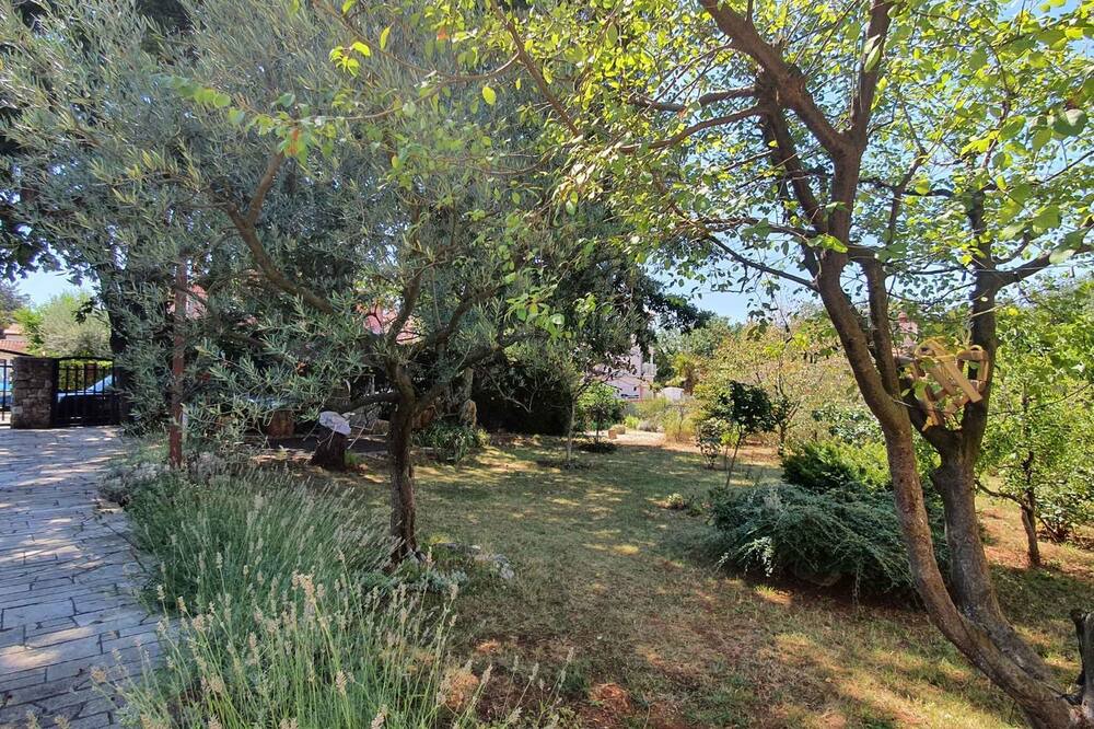 Photo of Outdoor in Cancini