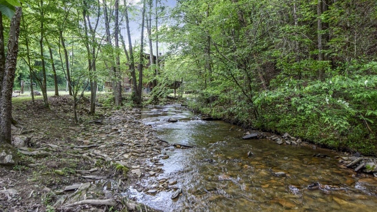 Photo of Others in Townsend