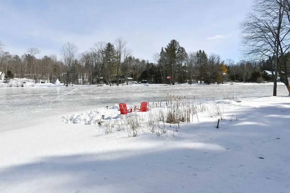Photo of Others in Washago