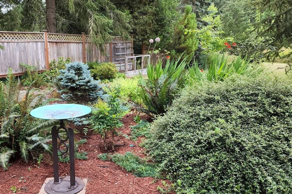 Photo of Others in Port Angeles