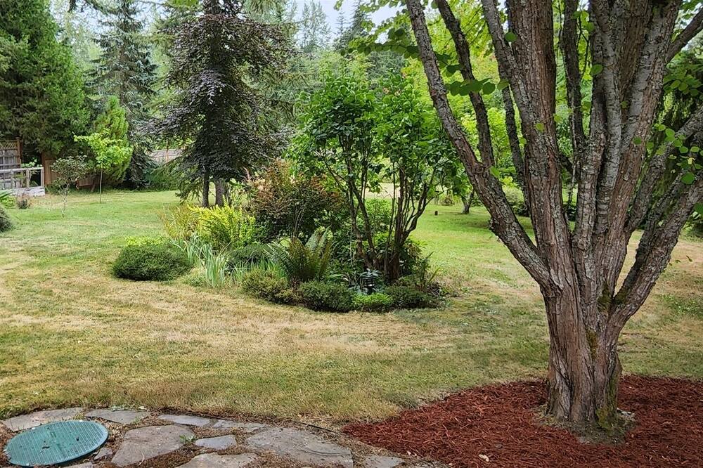 Photo of Others in Port Angeles