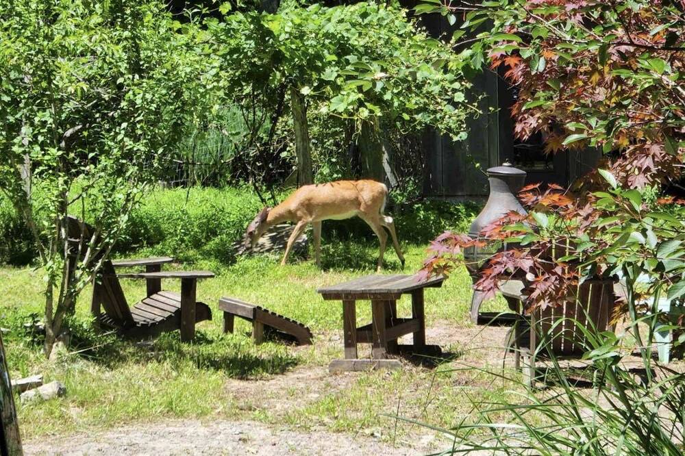 Photo of Outdoor in Canadensis