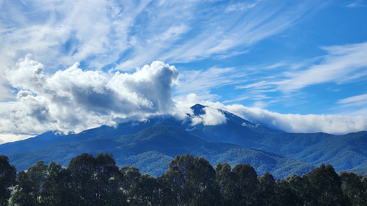 Photo of Others in Tawonga South