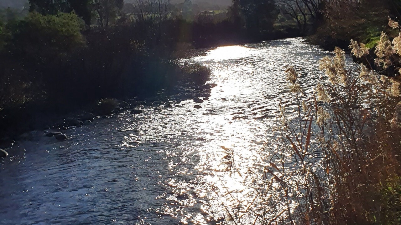 Photo of Outdoor in Tawonga South