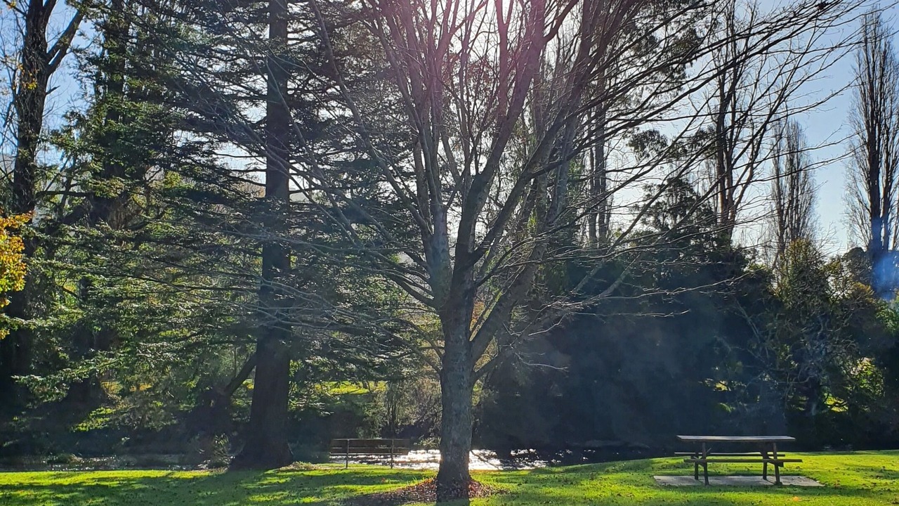 Photo of Outdoor in Tawonga South