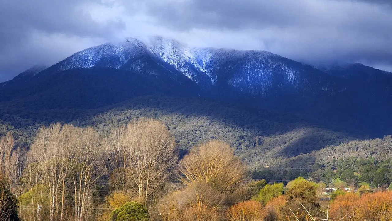 Photo of Others in Tawonga South