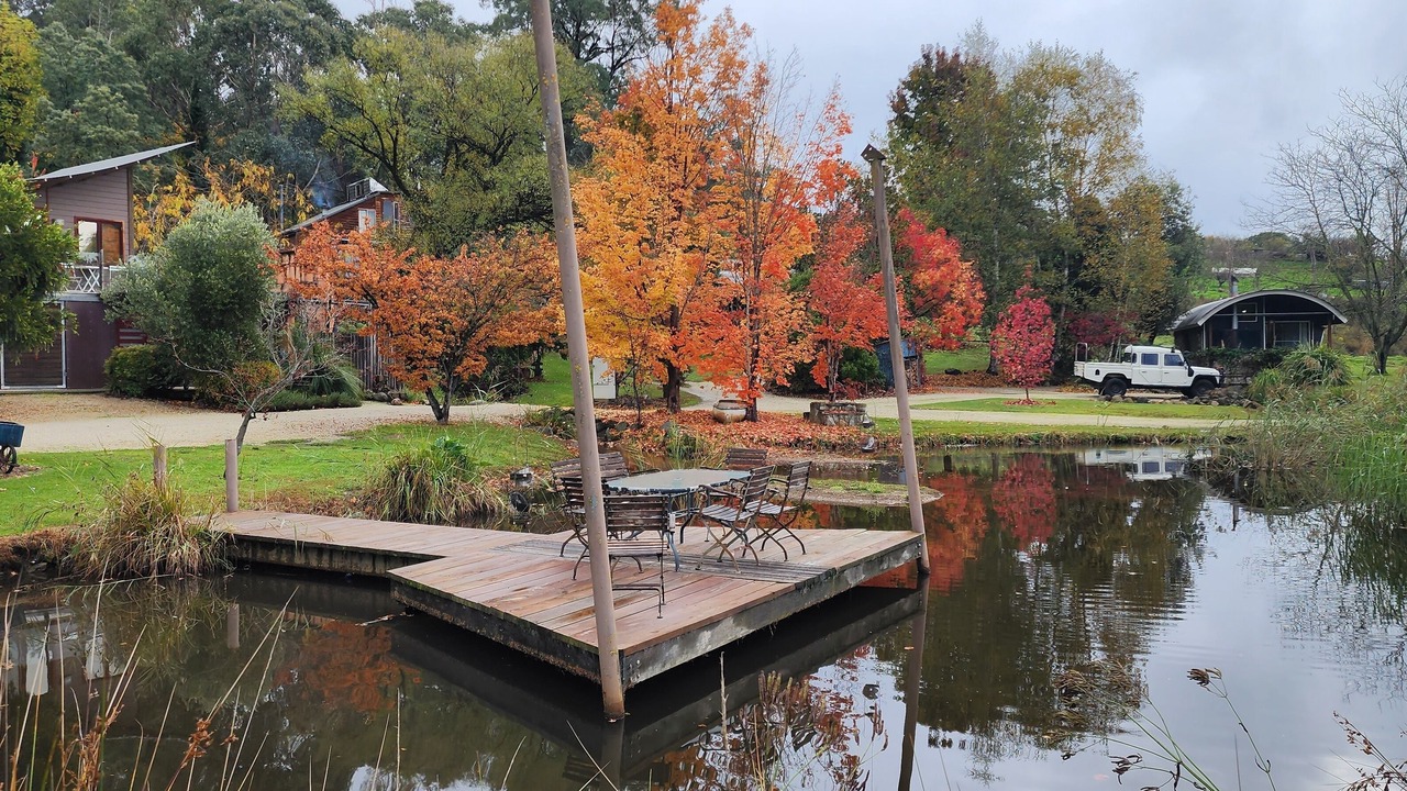 Photo of Outdoor in Tawonga South