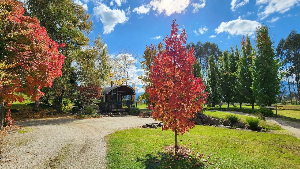 Photo of Outdoor in Tawonga South