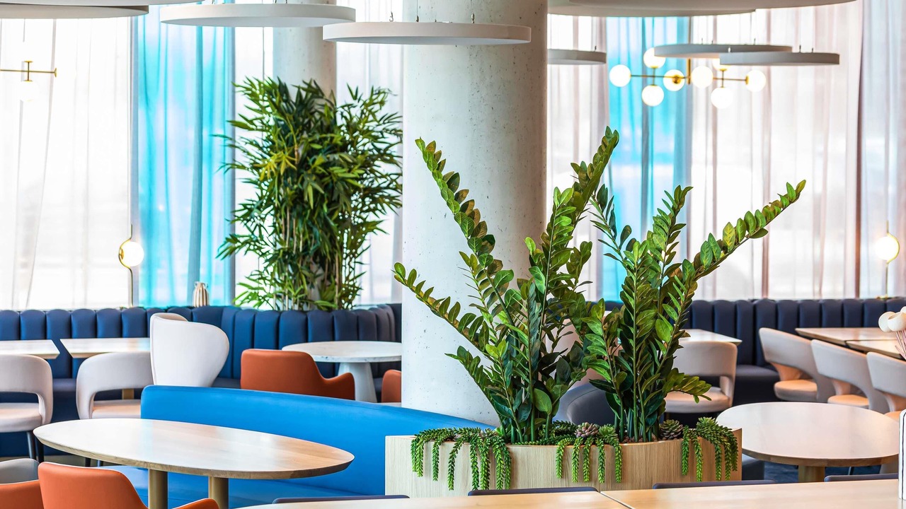 Photo of Others in Dunkerque Centre