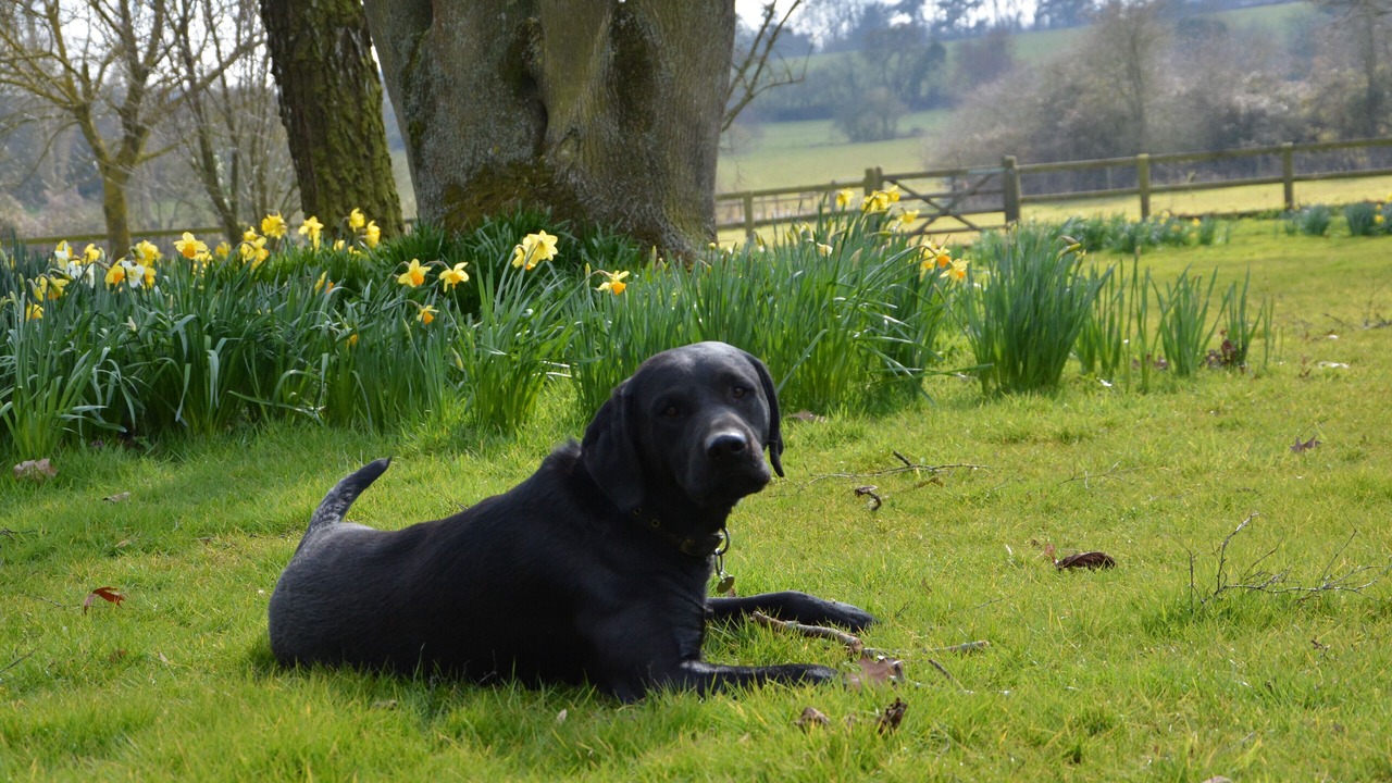 Photo of Outdoor in Martlesham Heath