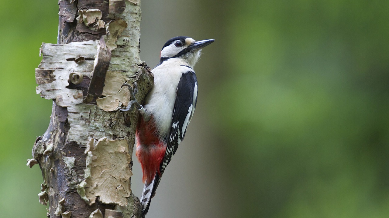 Photo of Others in Martlesham Heath