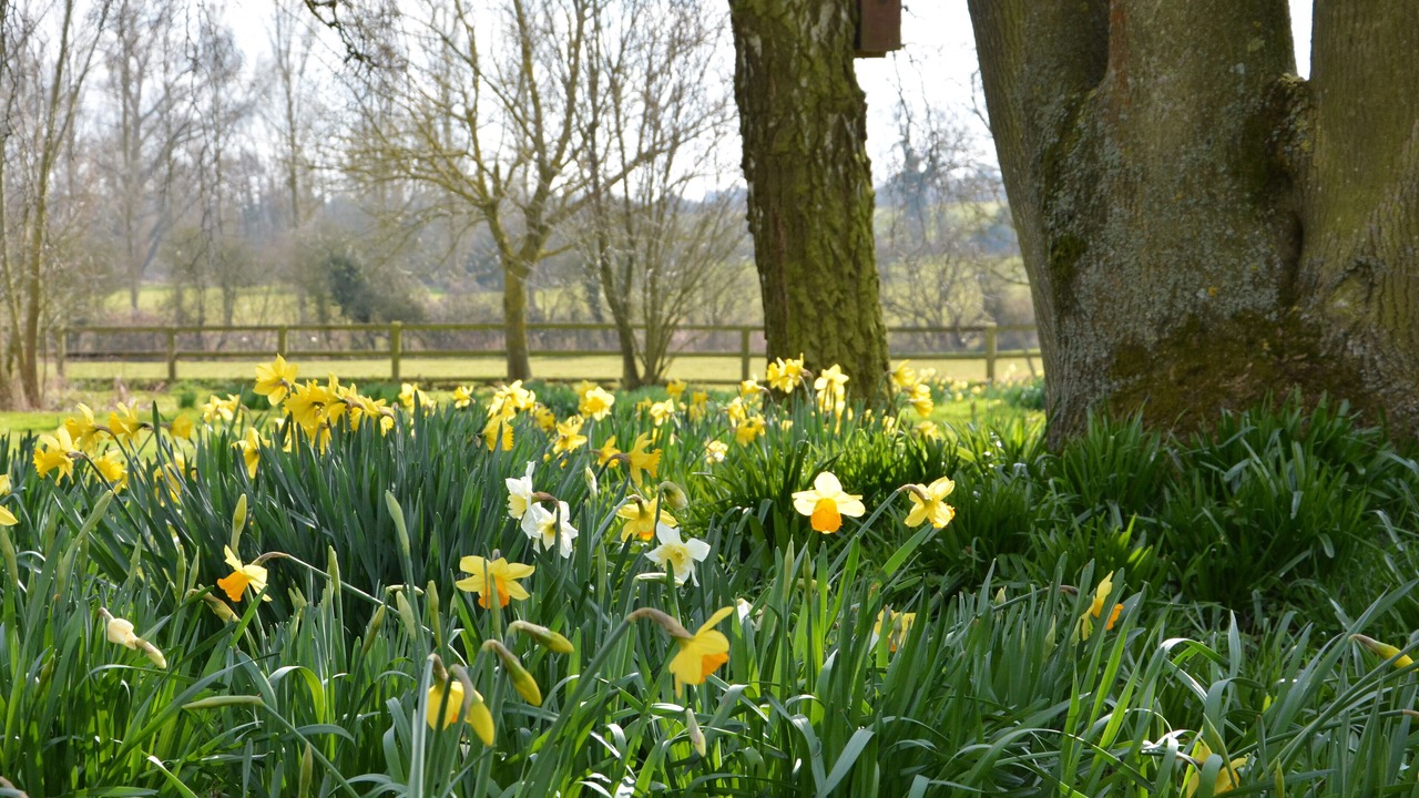 Photo of Others in Martlesham Heath