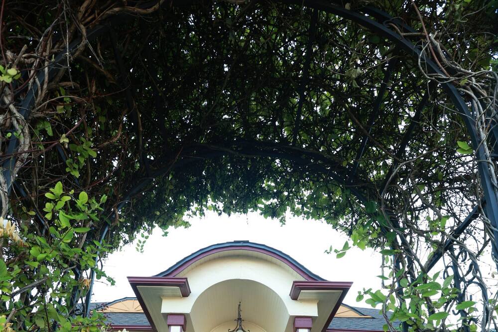 Photo of Outdoor in Port Gardner