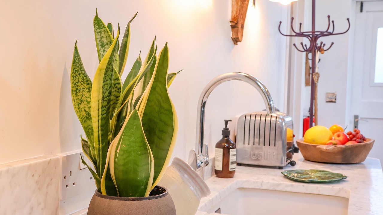 Photo of Others in Saxmundham