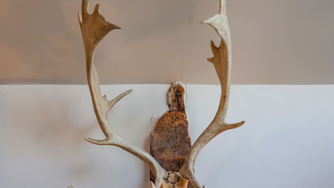 Photo of Others in Saxmundham