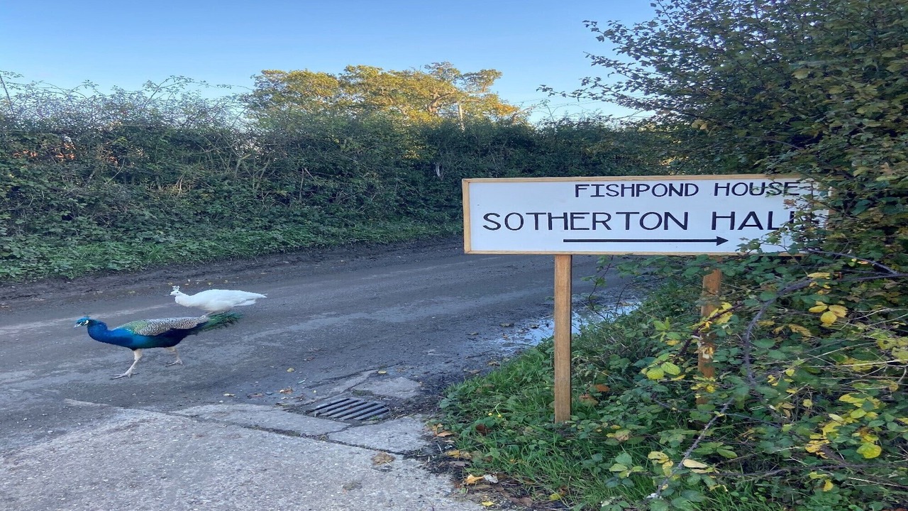 Photo of Outdoor in Sotherton