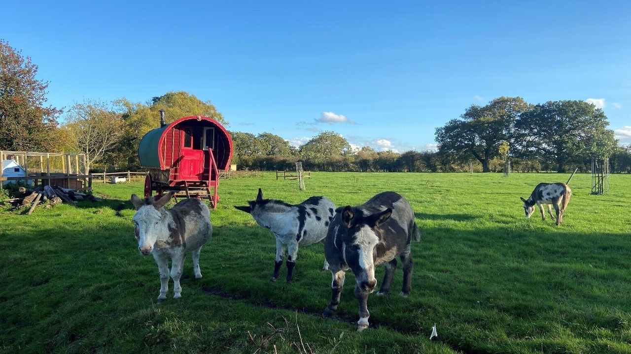 Photo of Outdoor in Sotherton