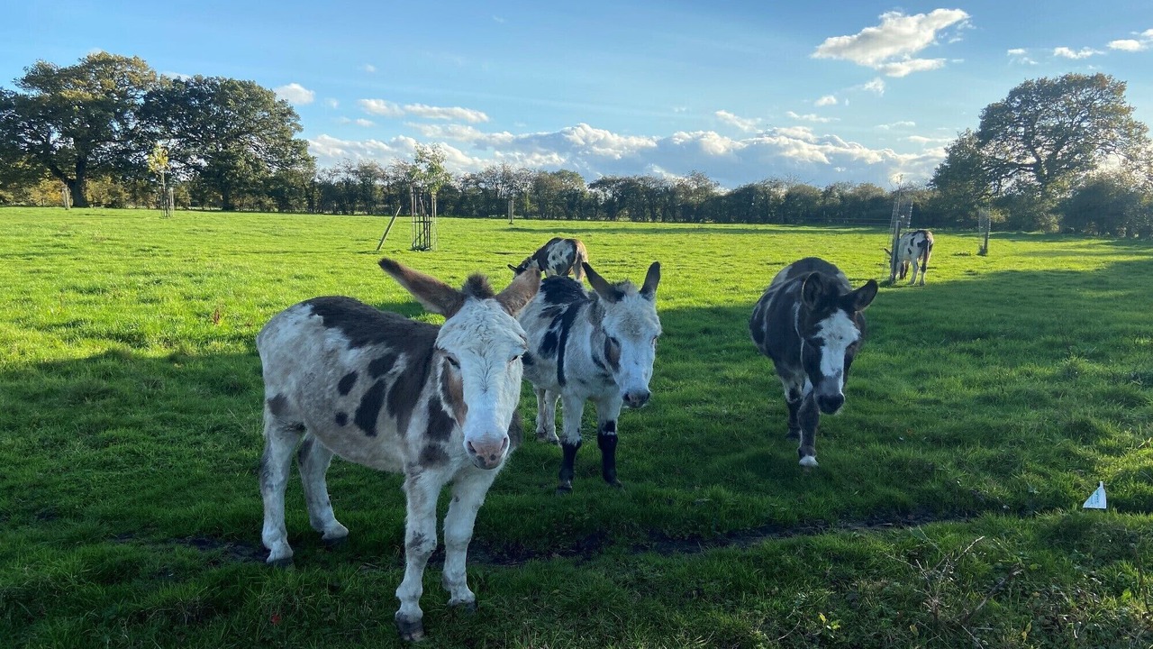 Photo of Outdoor in Sotherton